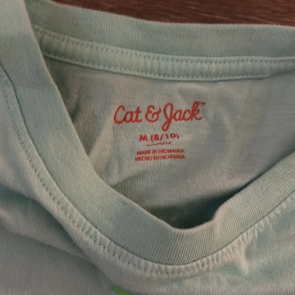 Cat & Jack Pterodactyl Egg Hunt Tee - Light Green